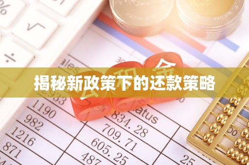 沙雅揭秘新政策下的还款策略