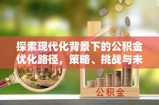 沙雅探索现代化背景下的公积金优化路径，策略、挑战与未来展望