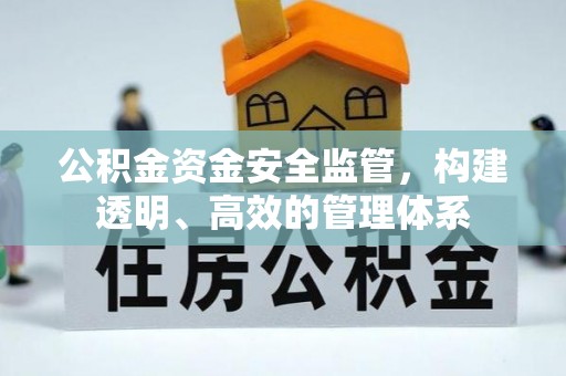 沙雅公积金资金安全监管，构建透明、高效的管理体系
