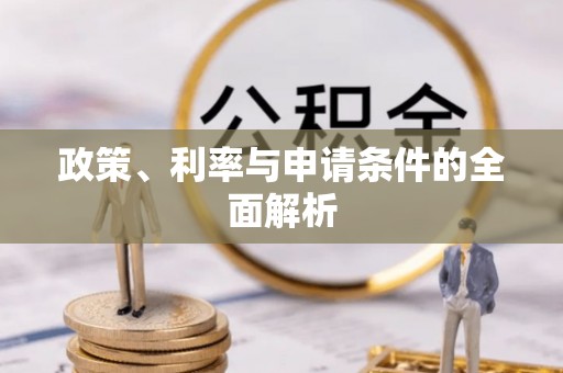 沙雅政策、利率与申请条件的全面解析