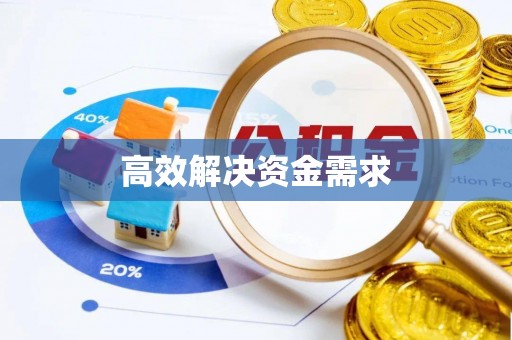 沙雅高效解决资金需求